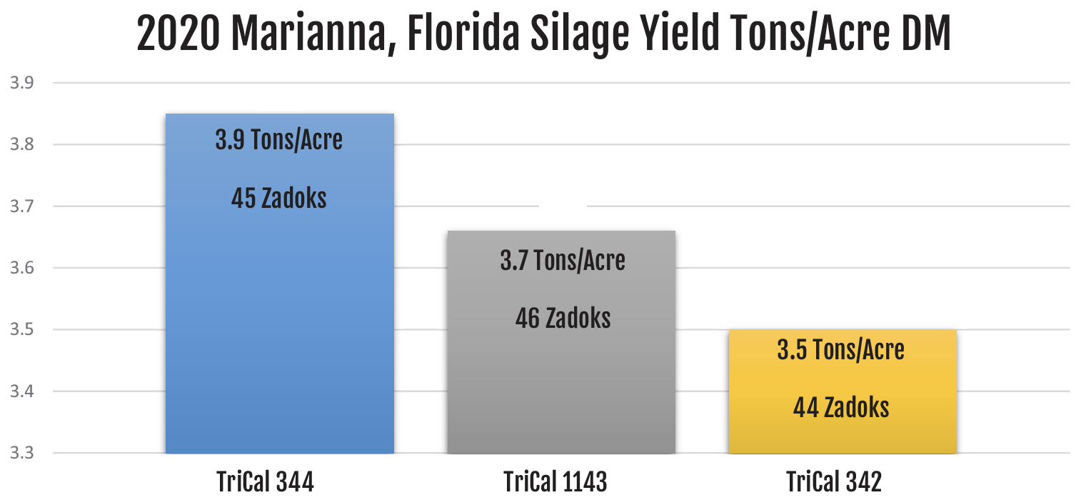A bar graph with trial data of 344 triticale performance in Marianna, FL in 2020.
